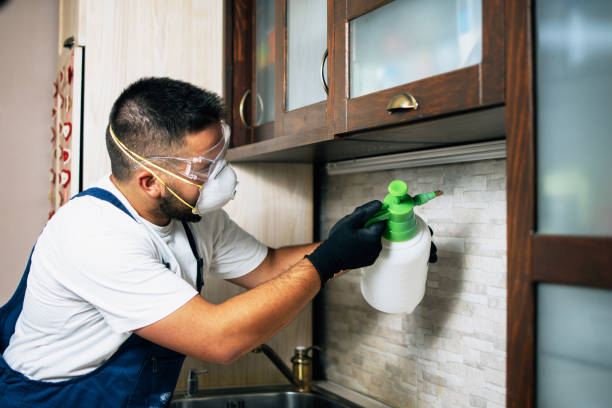 Best Pest Removal Services  in Brent, FL
