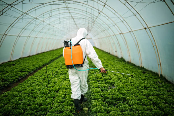 Best Pest Removal Services  in Brent, FL
