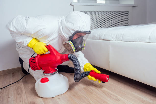 Best Flea Control Services  in Brent, FL