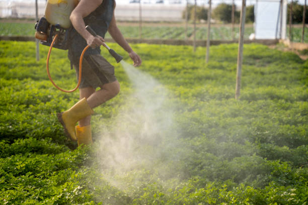 Best Pest Control Near Me  in Brent, FL