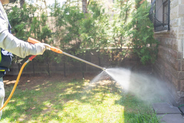 Professional Pest Control in Brent, FL
