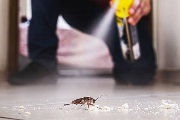 Best Termite Control Services  in Brent, FL