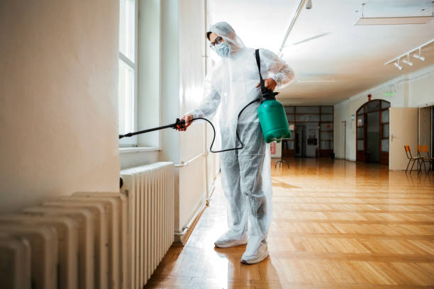 Best Mosquito Control Services  in Brent, FL