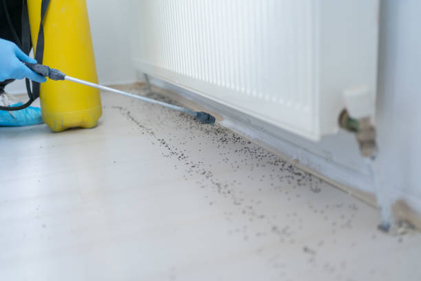 Best Pest Control for Homes  in Brent, FL
