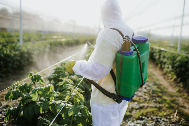 Best Pest Inspection Near Me  in Brent, FL